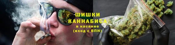 метадон Зеленодольск