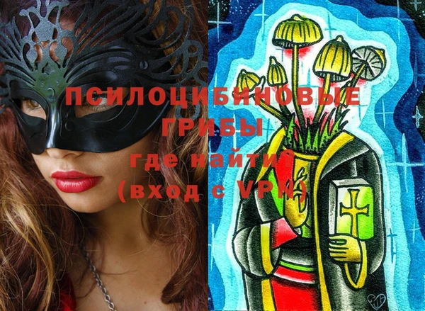 метадон Зеленодольск