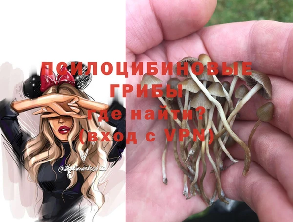 метадон Зеленодольск