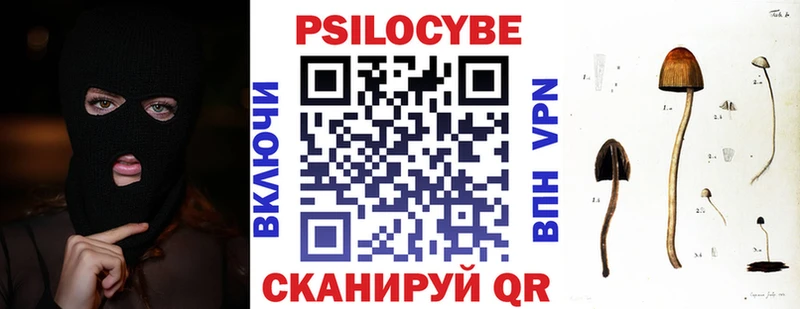 Галлюциногенные грибы Psilocybine cubensis  гидра   Сергач 